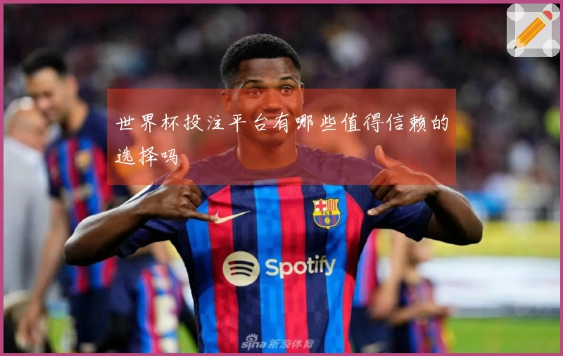 世界杯投注平台有哪些值得信赖的选择吗