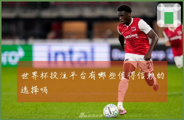 世界杯投注平台有哪些值得信赖的选择吗