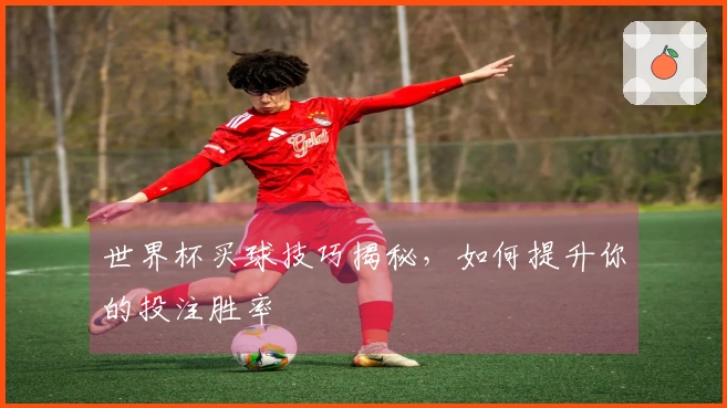 世界杯买球技巧揭秘，如何提升你的投注胜率