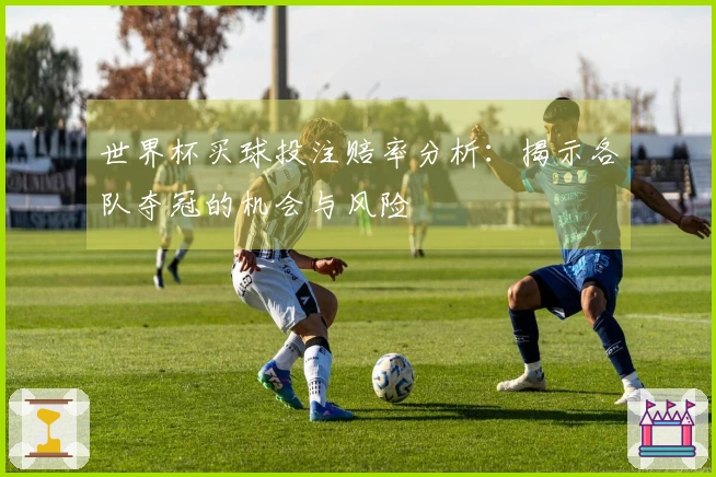 世界杯买球投注赔率分析：揭示各队夺冠的机会与风险