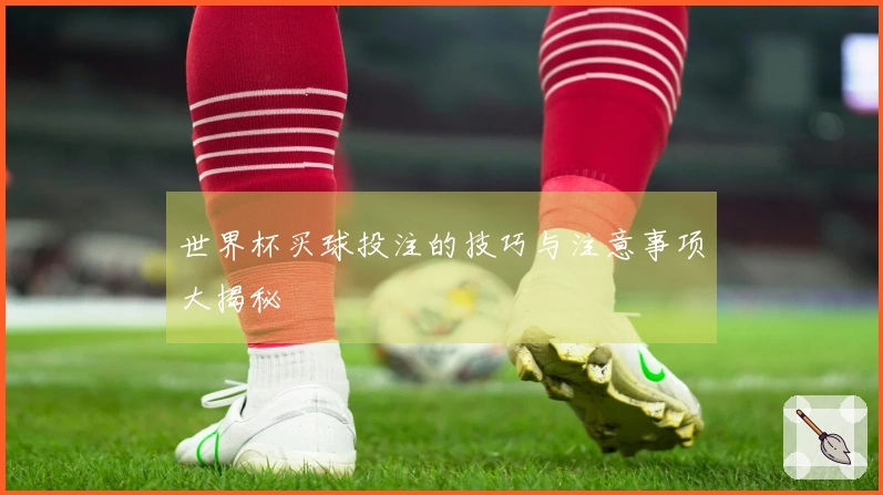 世界杯买球投注的技巧与注意事项大揭秘