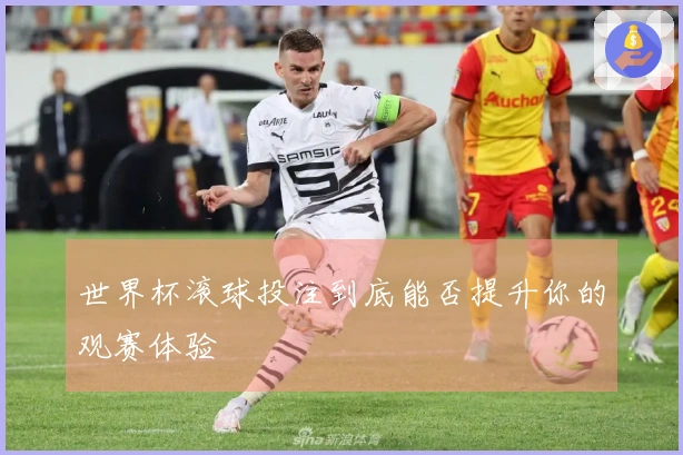 世界杯滚球投注到底能否提升你的观赛体验