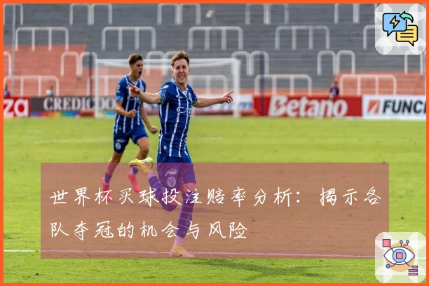 世界杯买球投注赔率分析：揭示各队夺冠的机会与风险