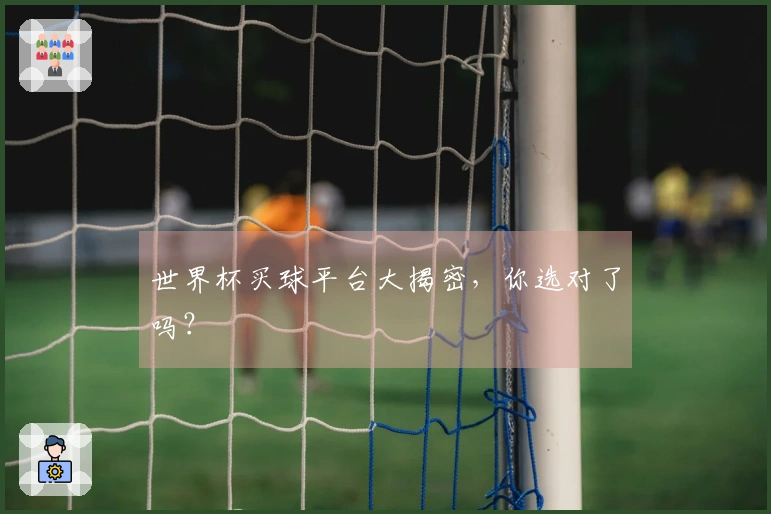 世界杯买球平台大揭密，你选对了吗？