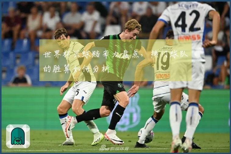 世界杯买球赔率大盘点，热门球队的胜算如何分析