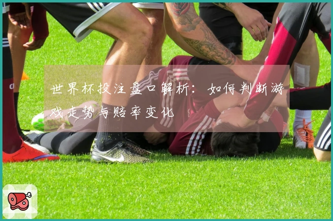 世界杯投注盘口解析：如何判断游戏走势与赔率变化