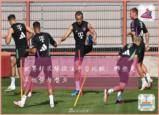 世界杯买球投注平台比较：哪些更具优势与潜力