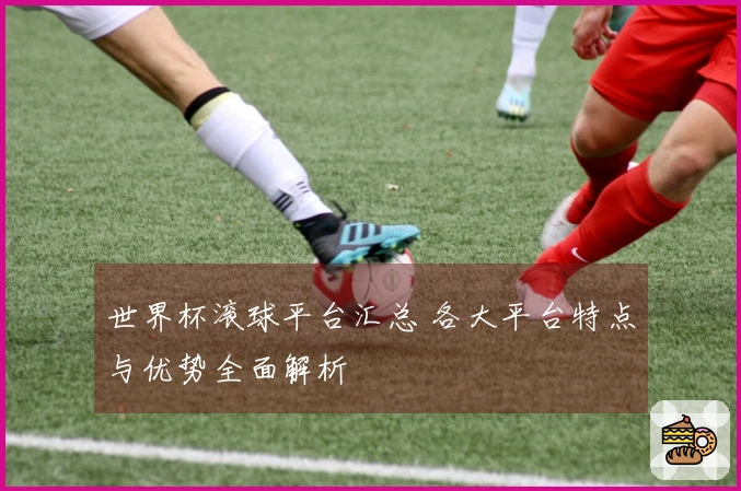 世界杯滚球平台汇总 各大平台特点与优势全面解析